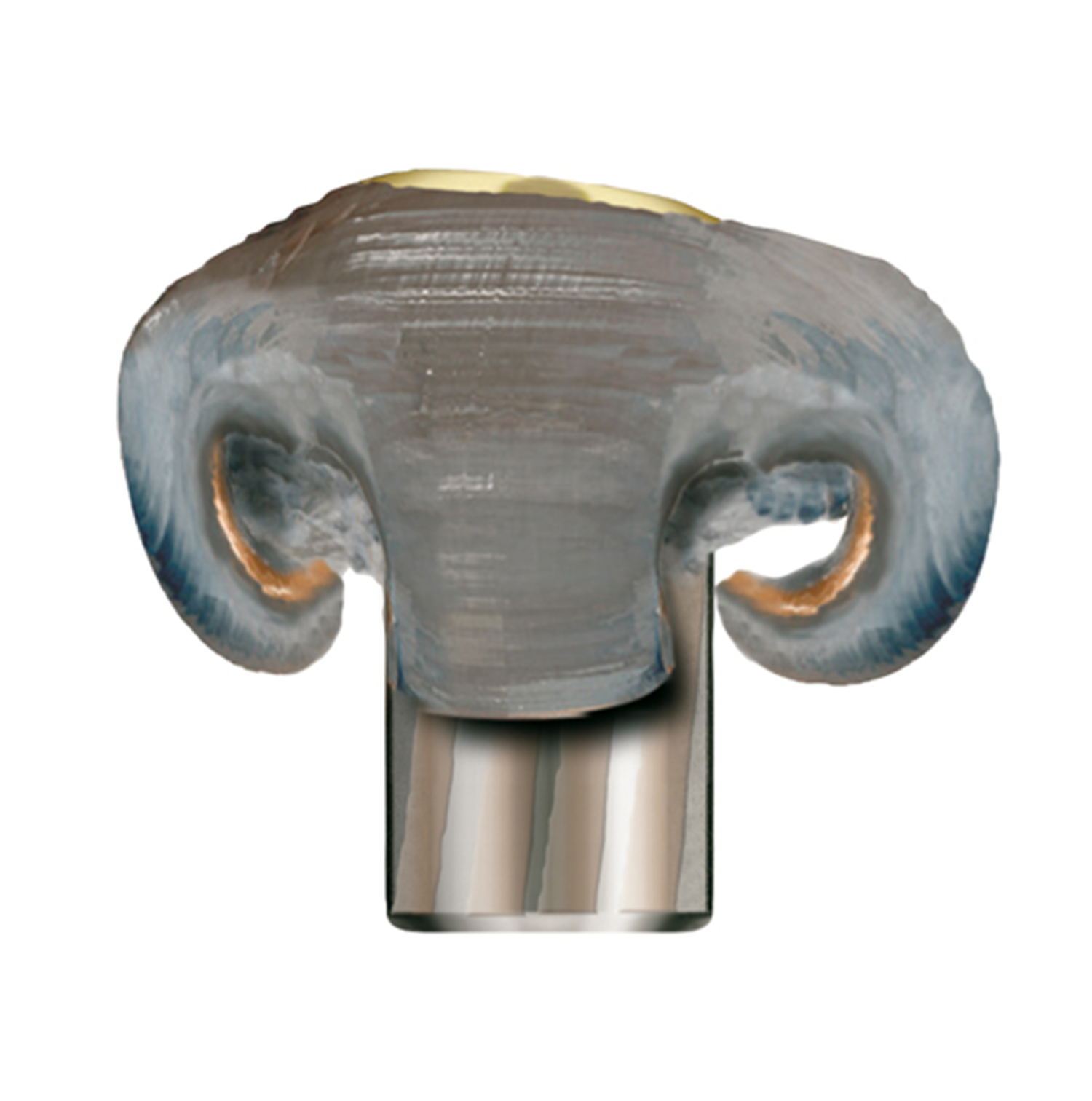  RWS 7MM REM MAG EVO 10,3g