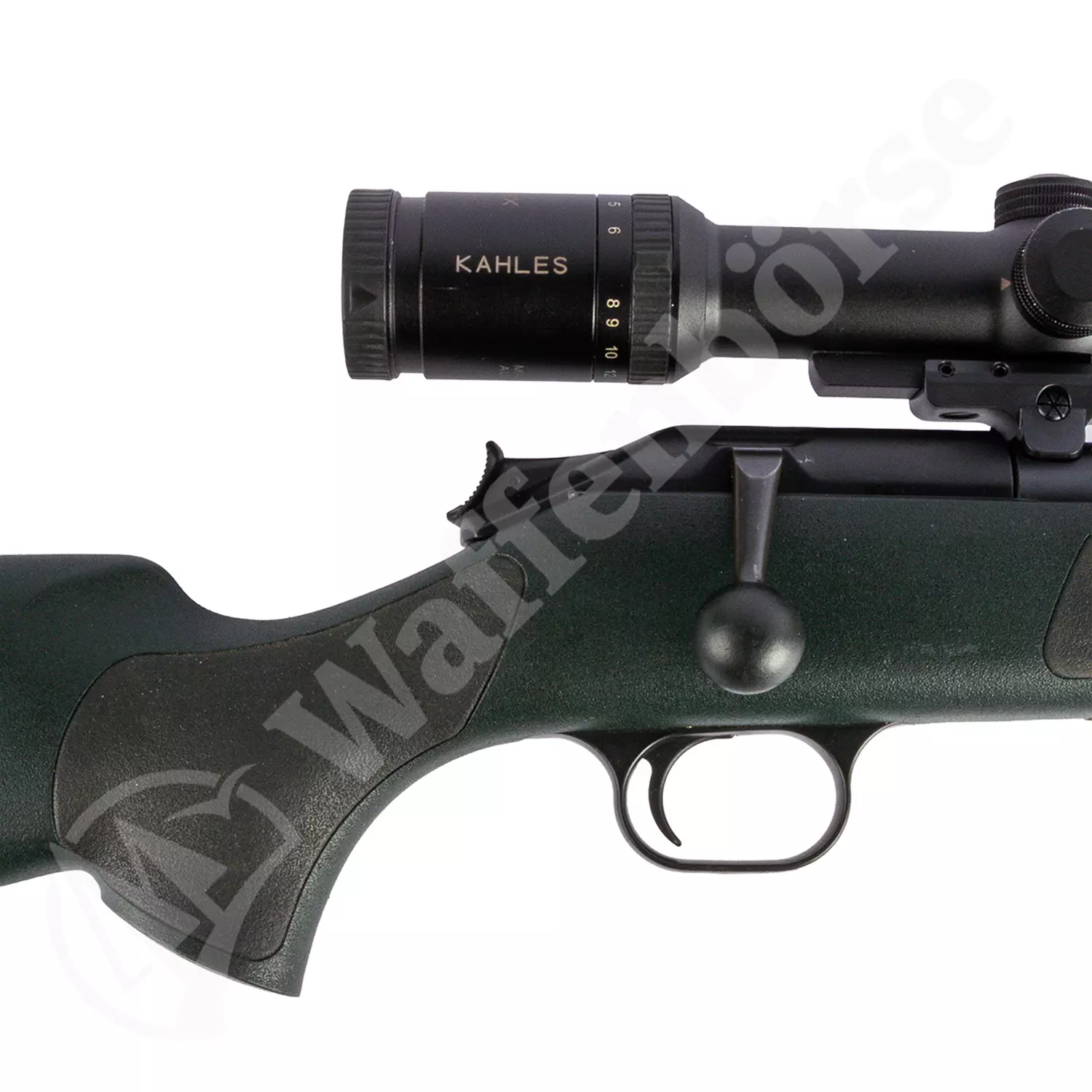 Blaser R93 Professional 9,3x62
