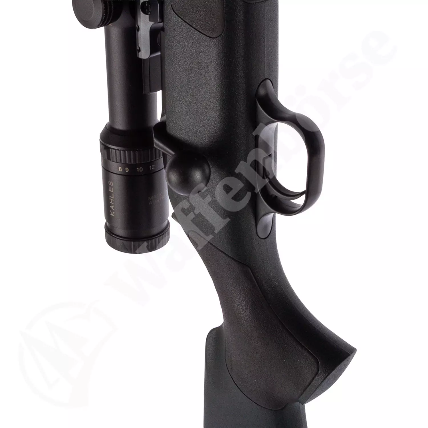 Blaser R93 Professional 9,3x62