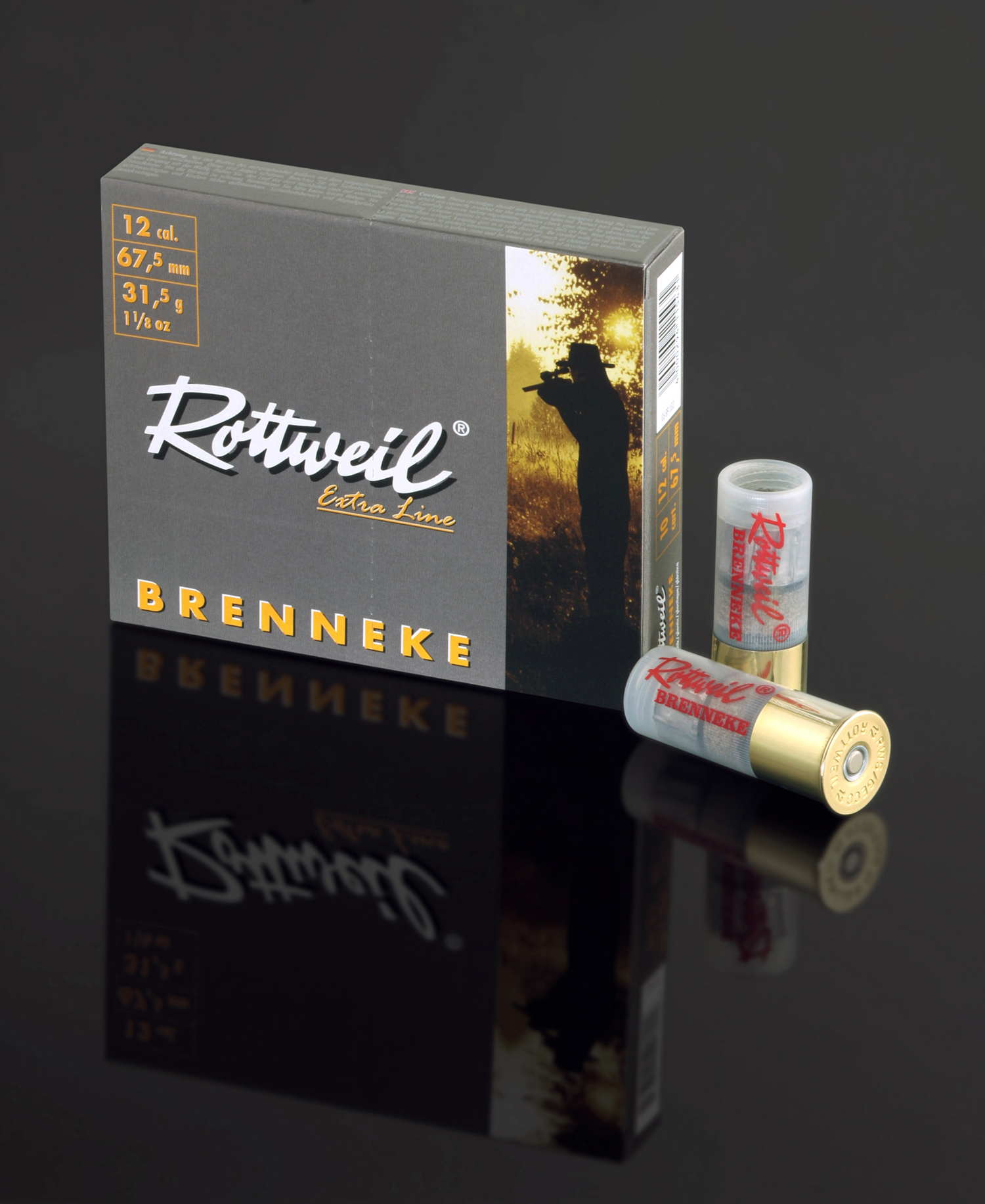 Rottweil Brenneke 12/67,5 31.5g