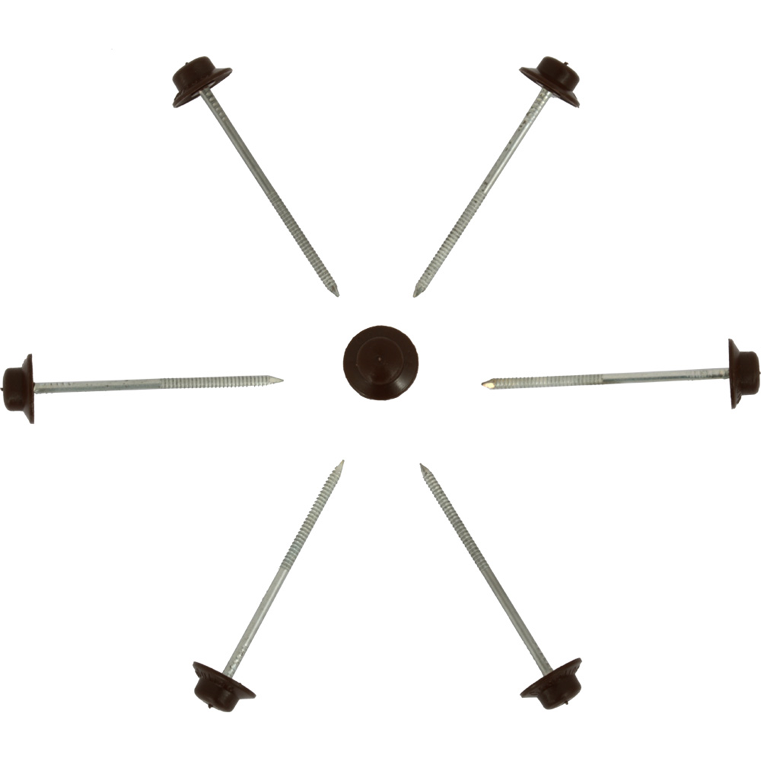 Bearpaw Scheibennagel Strong