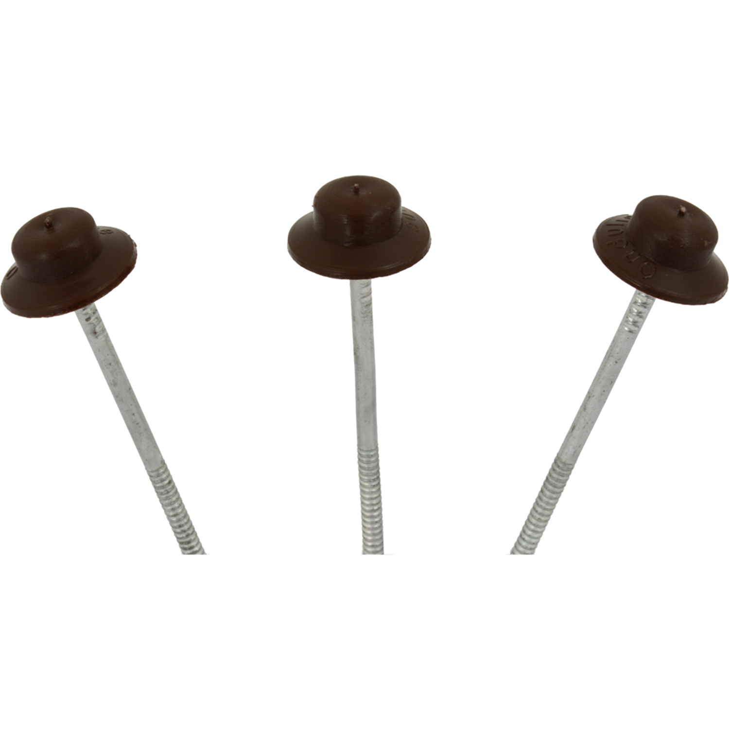 Bearpaw Scheibennagel Strong