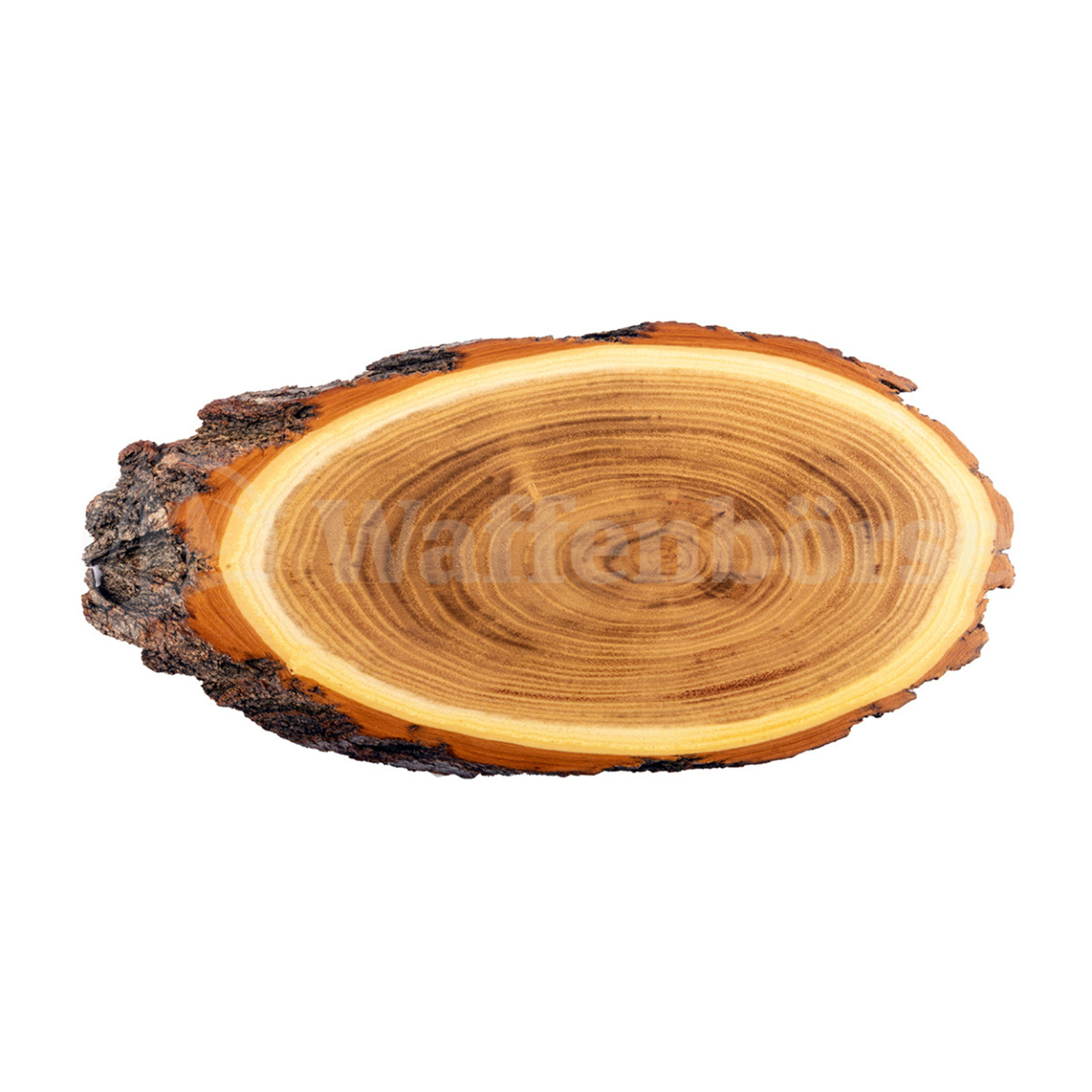 Gehörnbrett, Trophäenschilder Reh-Bock Akazie mit Fach