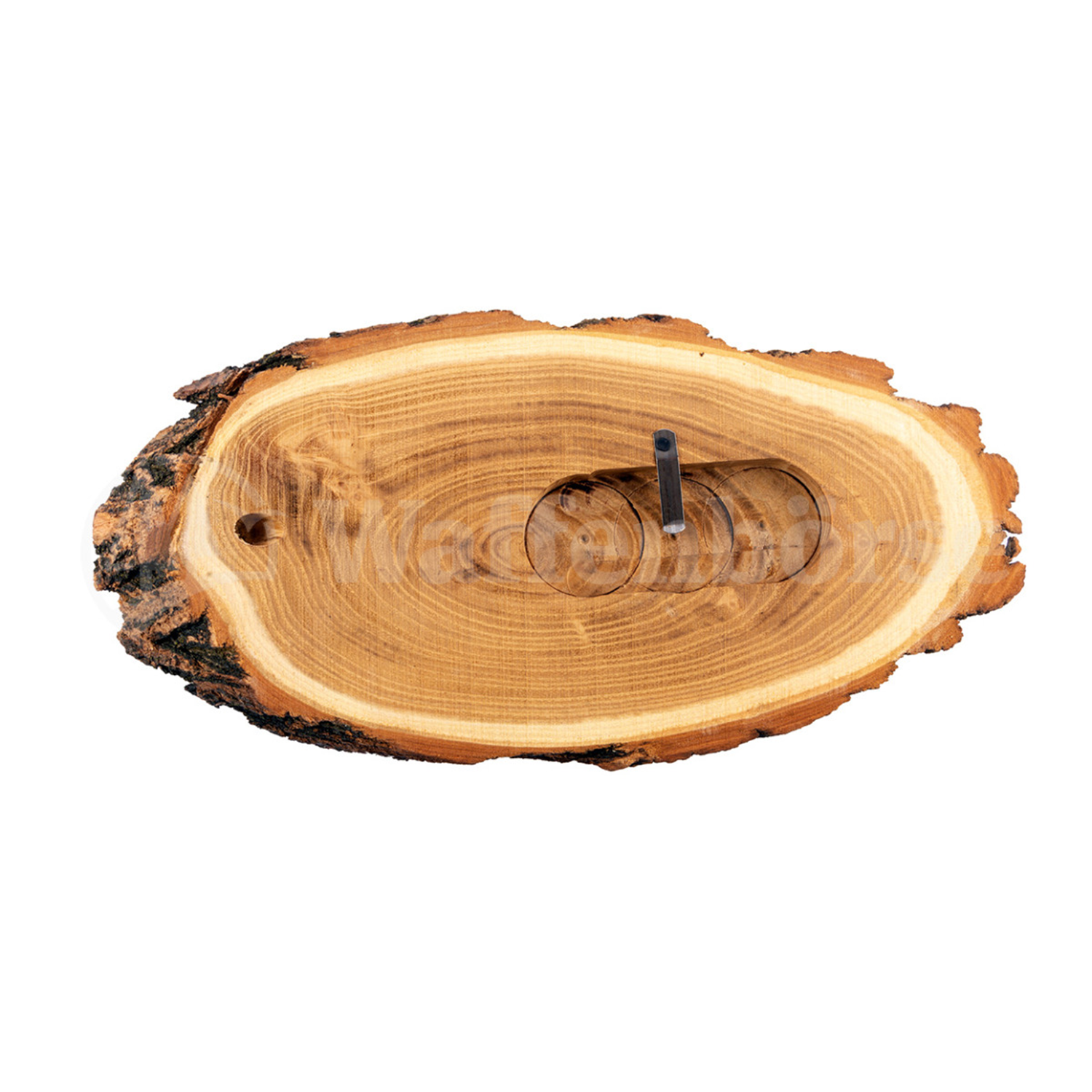 Gehörnbrett, Trophäenschilder Reh-Bock Akazie mit Fach