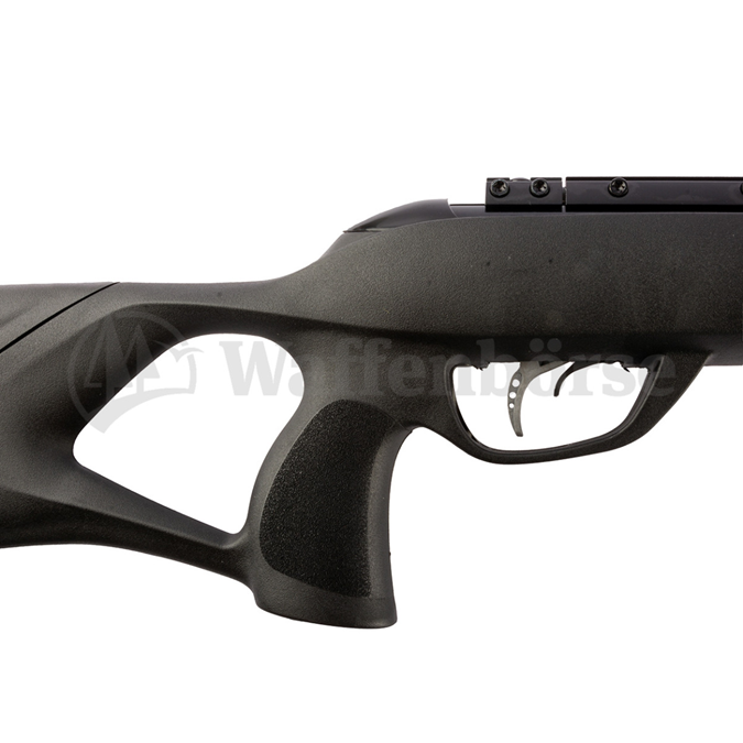 GAMO Roadster IGT 10X GEN 2 Luftgewehr  4,5mm