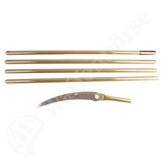 Knoblock Waldmeister Astsäge