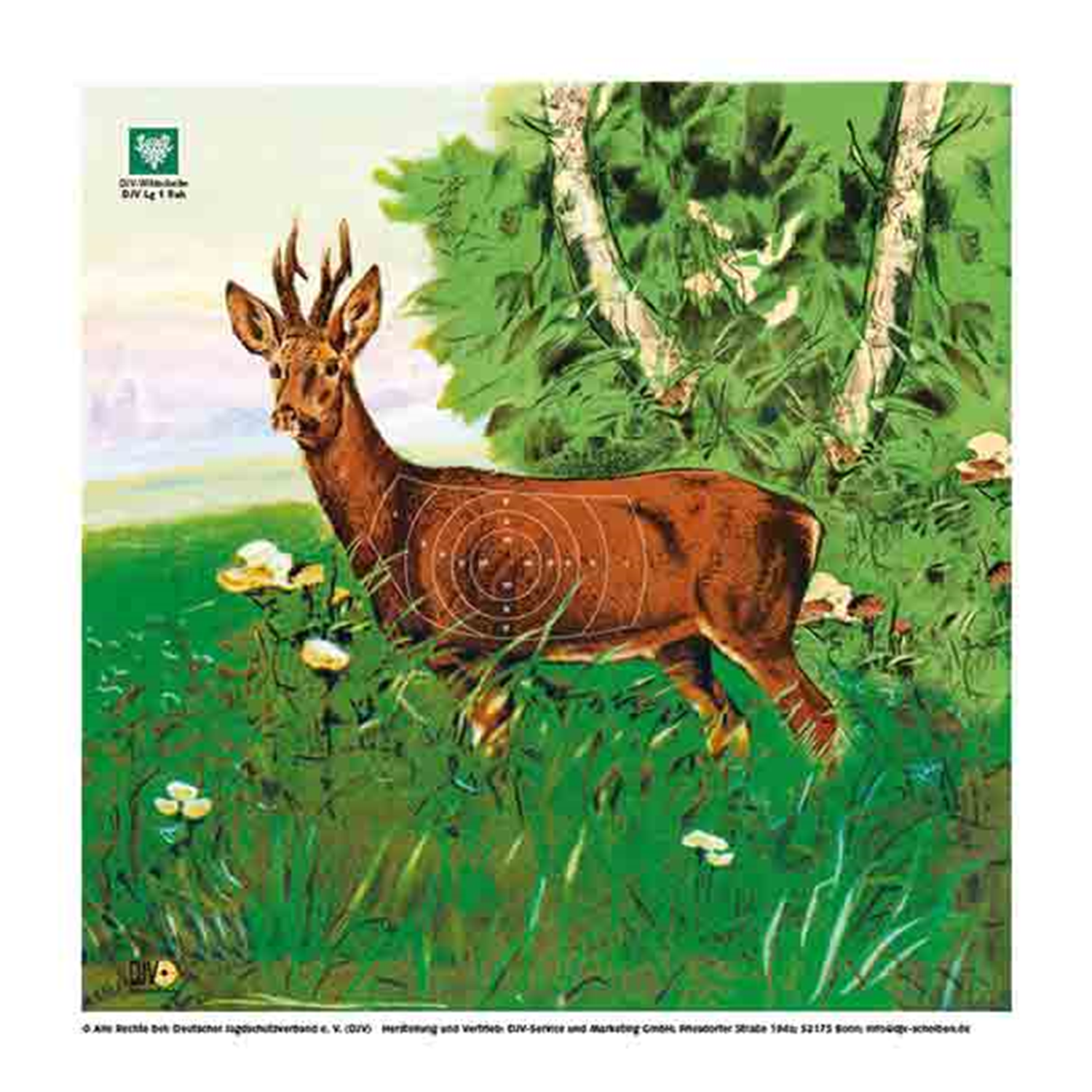 DJV Luftgewehr-Jagdscheibe Rehbock