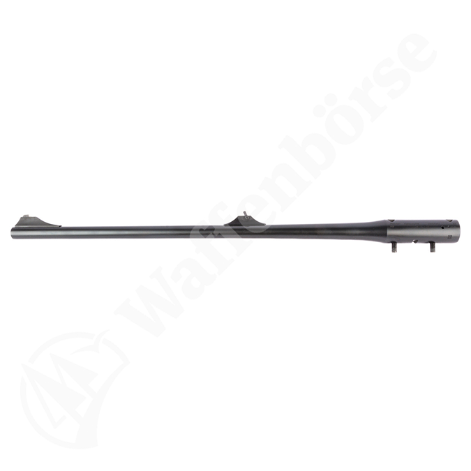 Blaser R8 WL .30-06