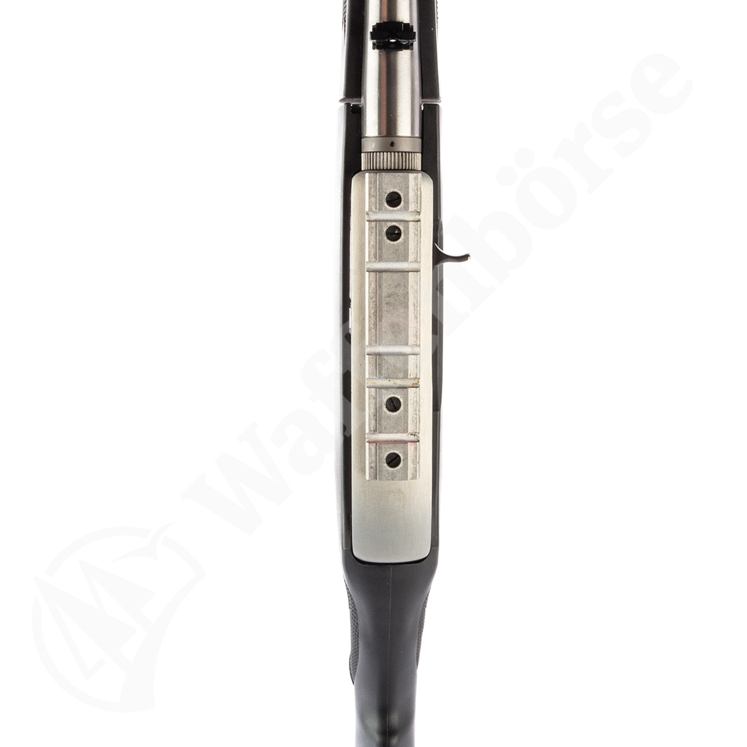 Ruger 10/22 Take-Down .22lr