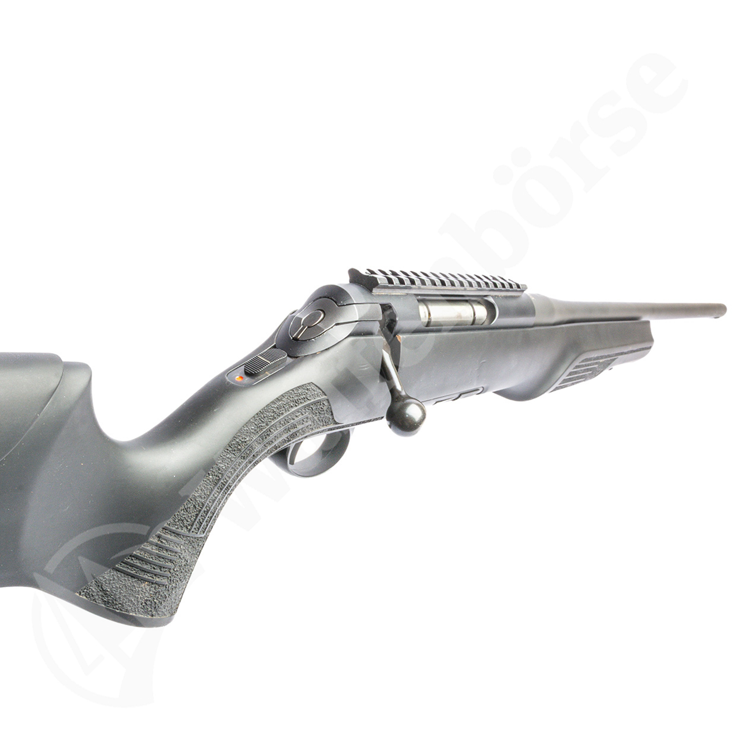 Capra Matterhorn .30-06