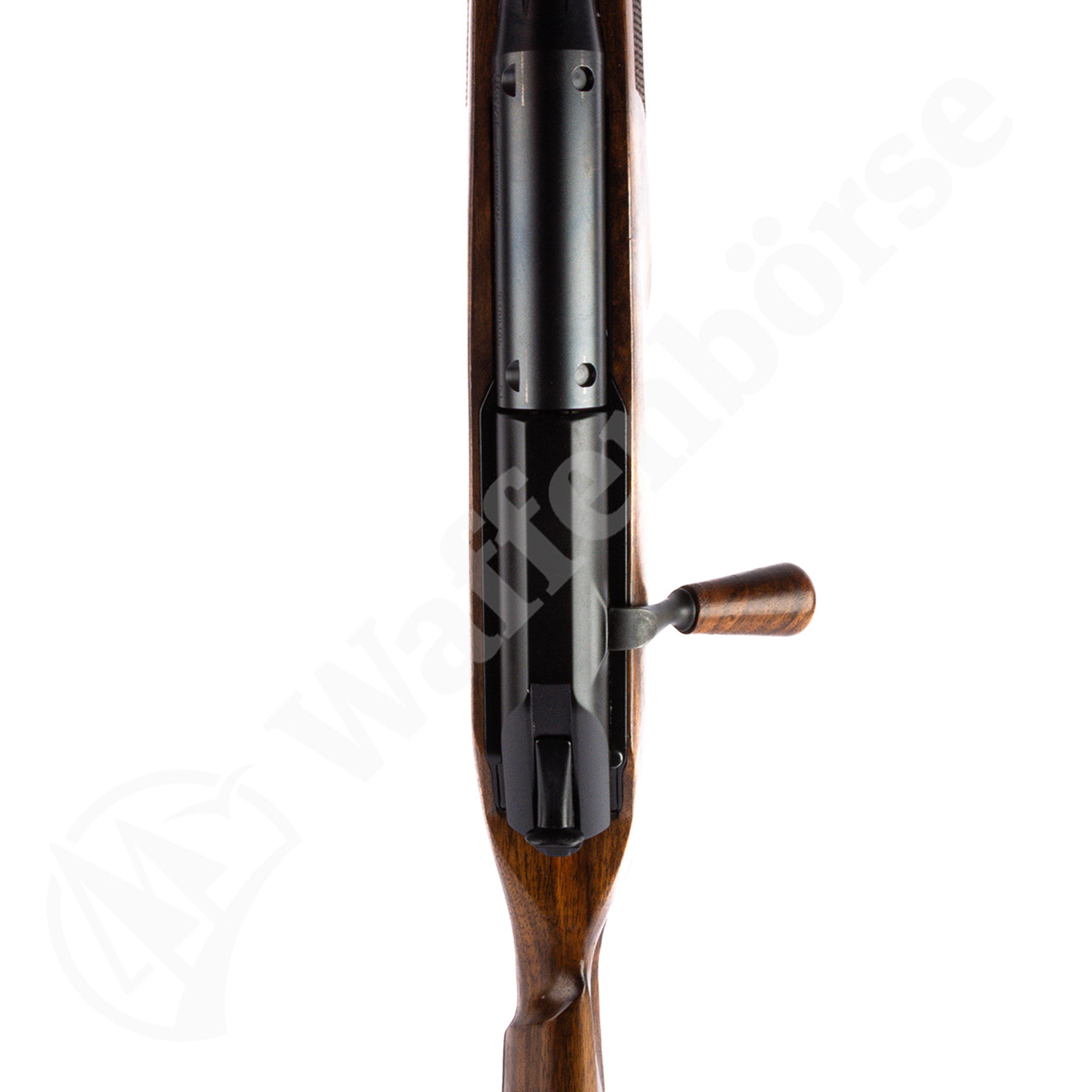 Blaser R93 Success .30-06 Spring.