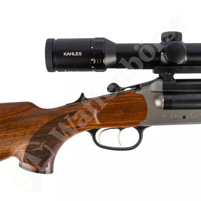 Blaser D99 Trio 9.3x74R - 5.6x50R Mag.