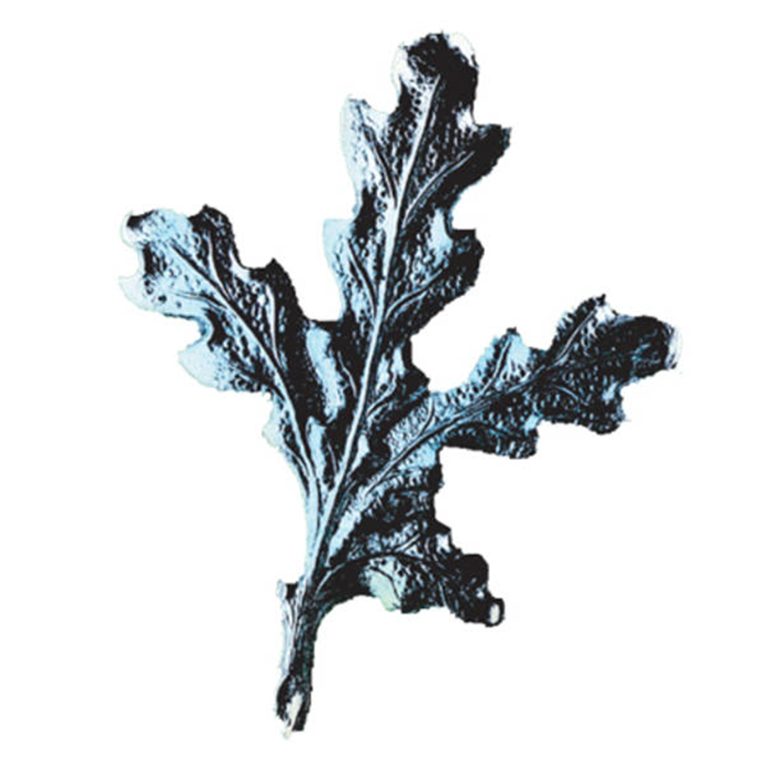 WEGU Eichenlaub für Keilerbrettchen