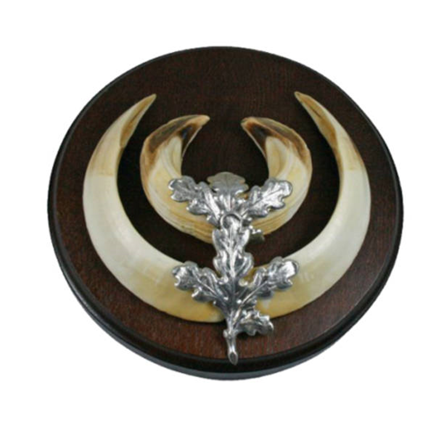 WEGU Eichenlaub für Keilerbrettchen