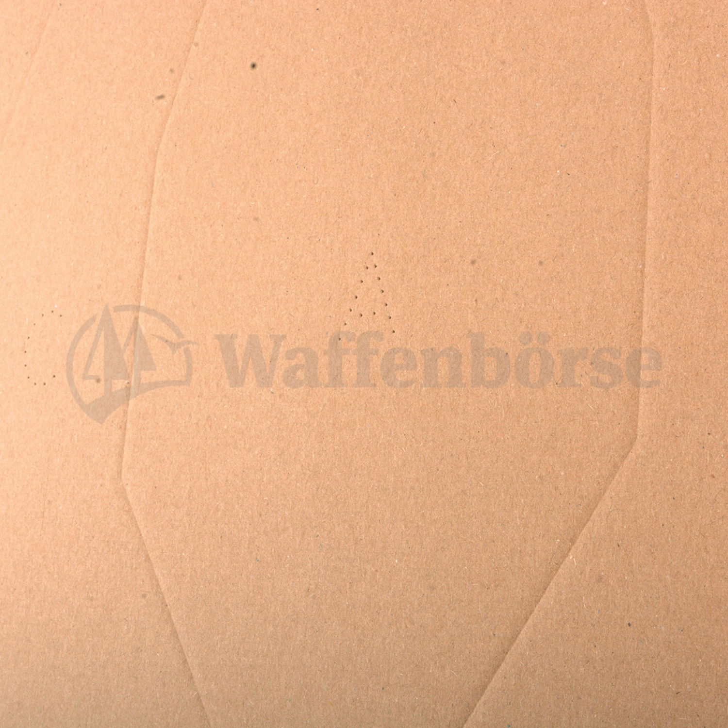 IPSC Classic Target DS Falkenstein