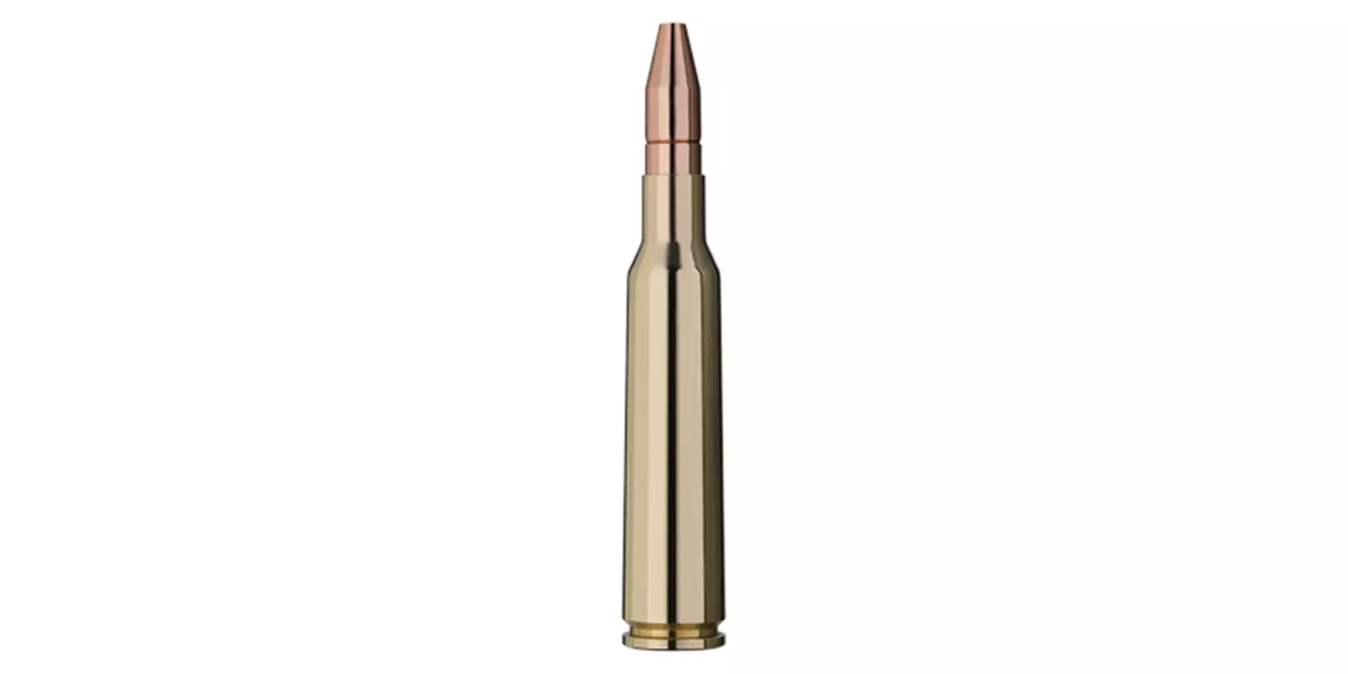  RWS .30 R BLASER DK 10,7g