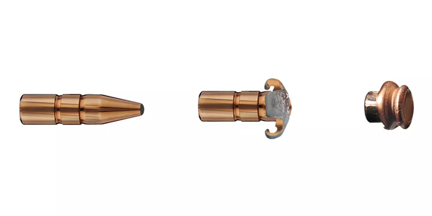  RWS .30 R BLASER DK 10,7g