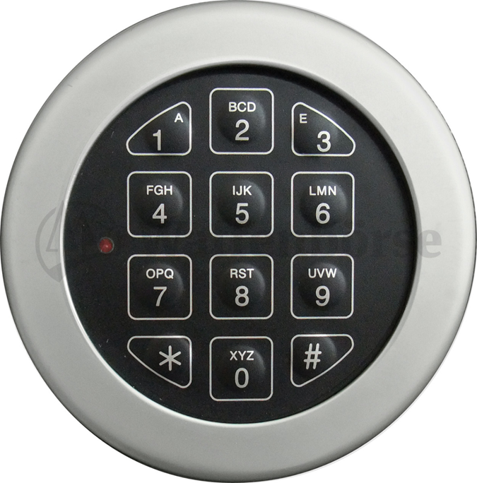 REIFFEL WFS 10E Elektronikschloss 10 Waffen