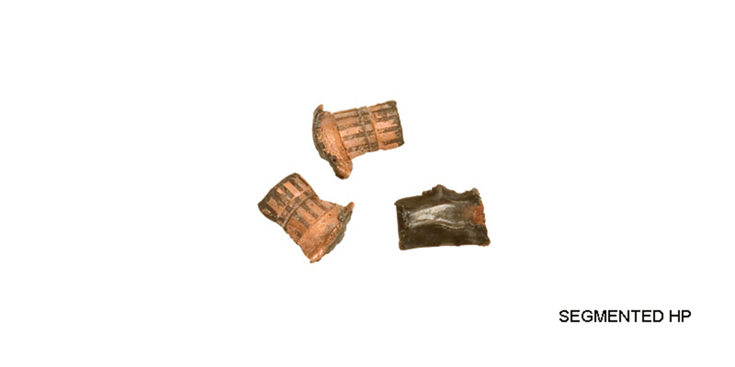 CCI Segmented HP Subsonic  .22lr  40grs