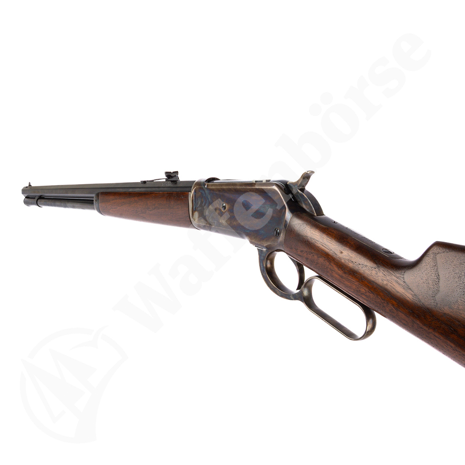 Armi Sports 1886 .45-70Gov.